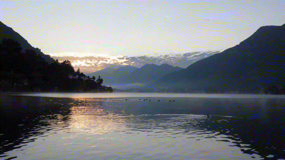 Dataset visualization