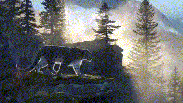 Dataset visualization